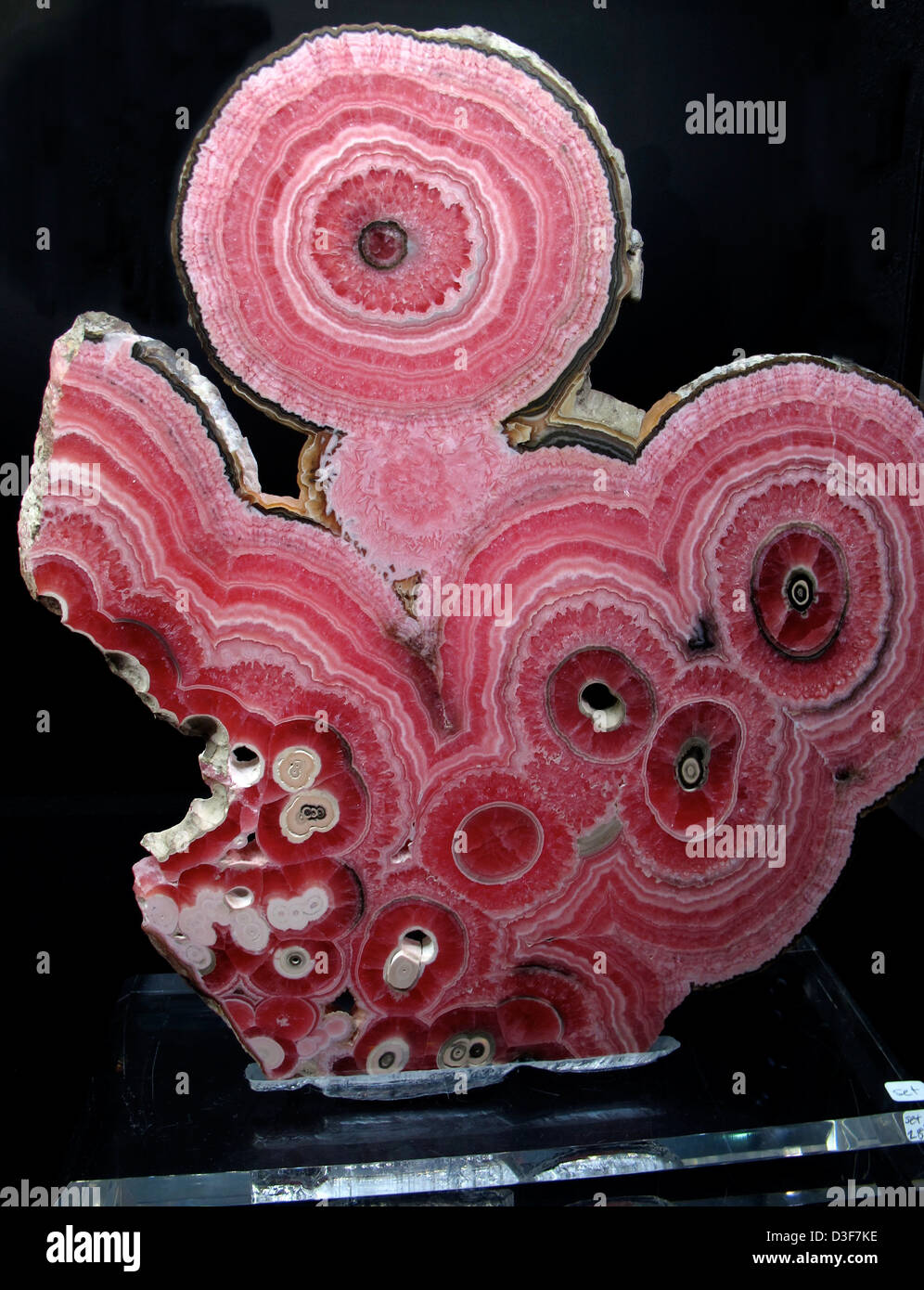 Rhodochrosite campione minerale da mina Capapallitas, provincia di Catamarca Argentina. Foto Stock