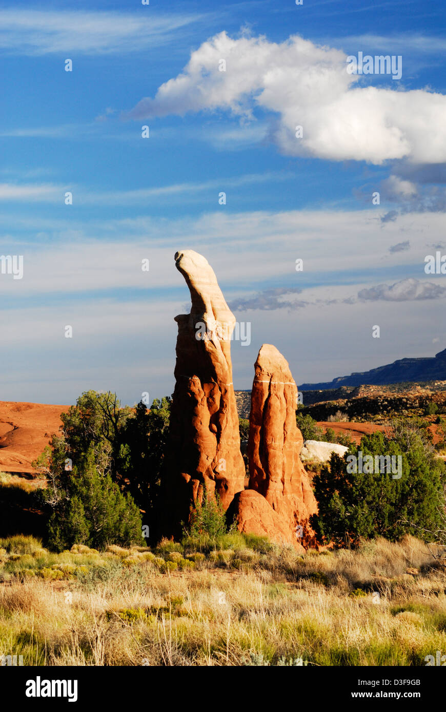 hoodoos di forma dispari in (apparentemente male nome) „Giardino dei Diavoli" vicino al „Hole nella strada della roccia Di Grand Staircase-Escalante Monumento Nazionale Foto Stock