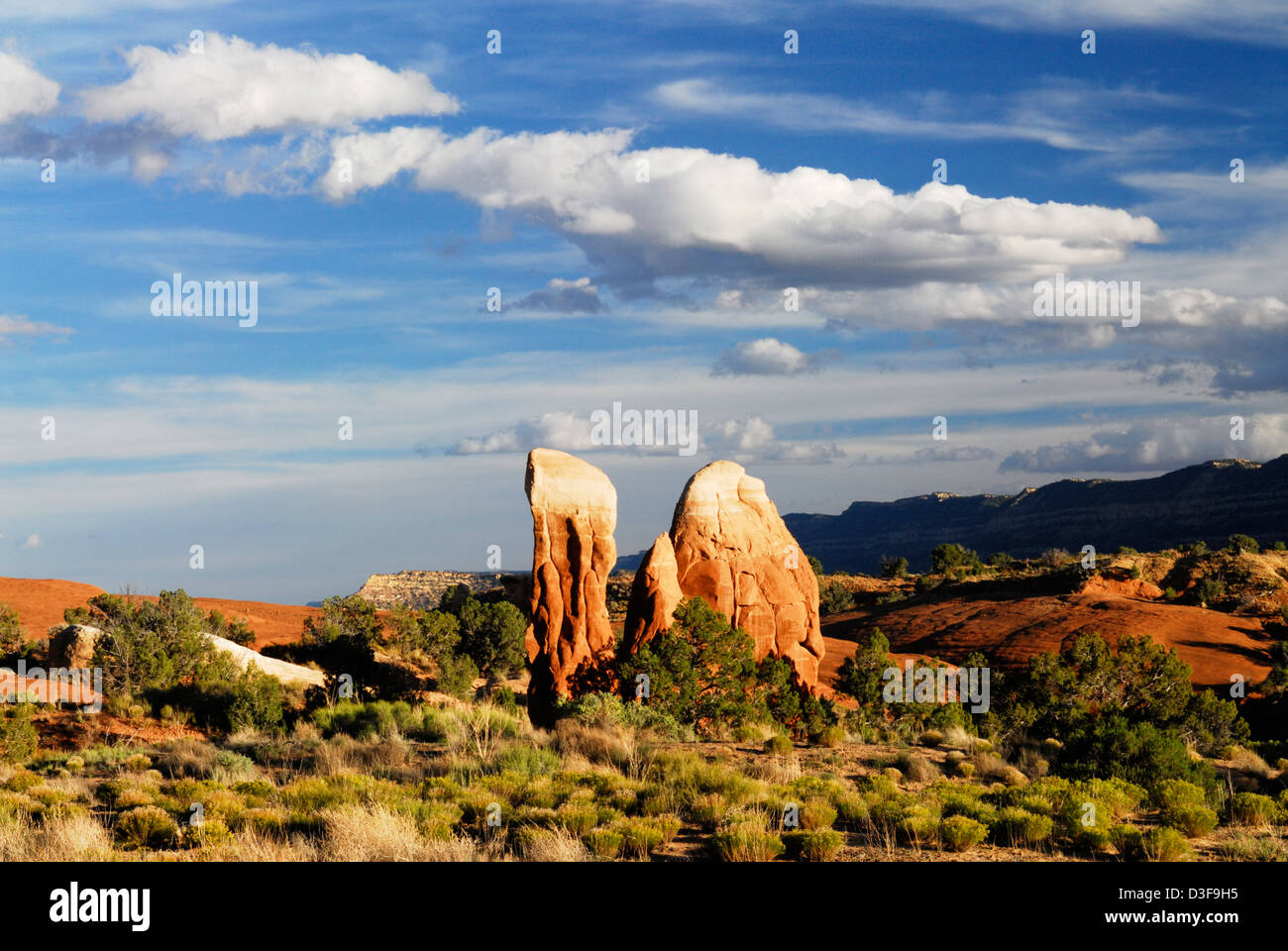 hoodoos di forma dispari in (apparentemente male nome) „Giardino dei Diavoli" vicino al „Hole nella strada della roccia Di Grand Staircase-Escalante Monumento Nazionale Foto Stock