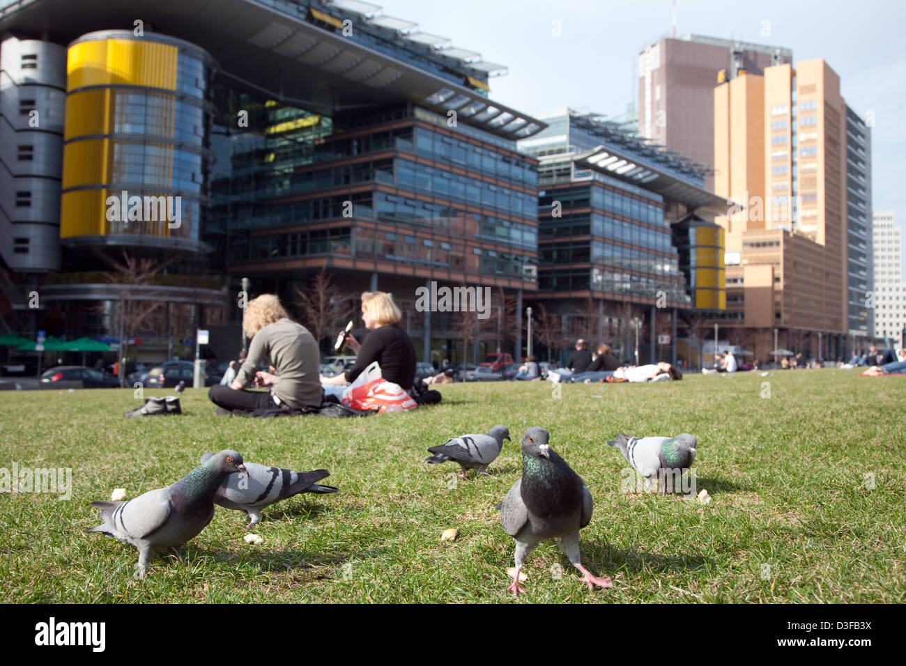 Berlino, Germania, piccioni sul prato di Tilla Durieux parchi di Potsdamer Platz Foto Stock