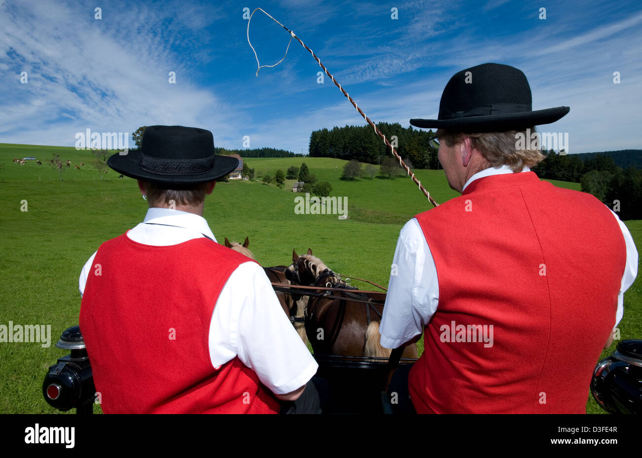 San Märgen, Germania, padre e figlio su una carrozza trainata da cavalli su Rosstag tradizionali Foto Stock