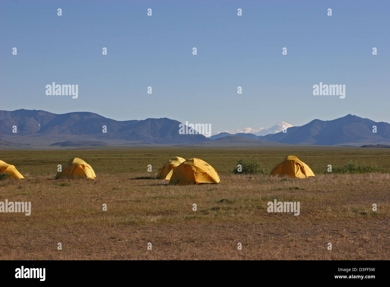 Tenda camp faccia del nord Alaska giallo versante nord artico Foto Stock