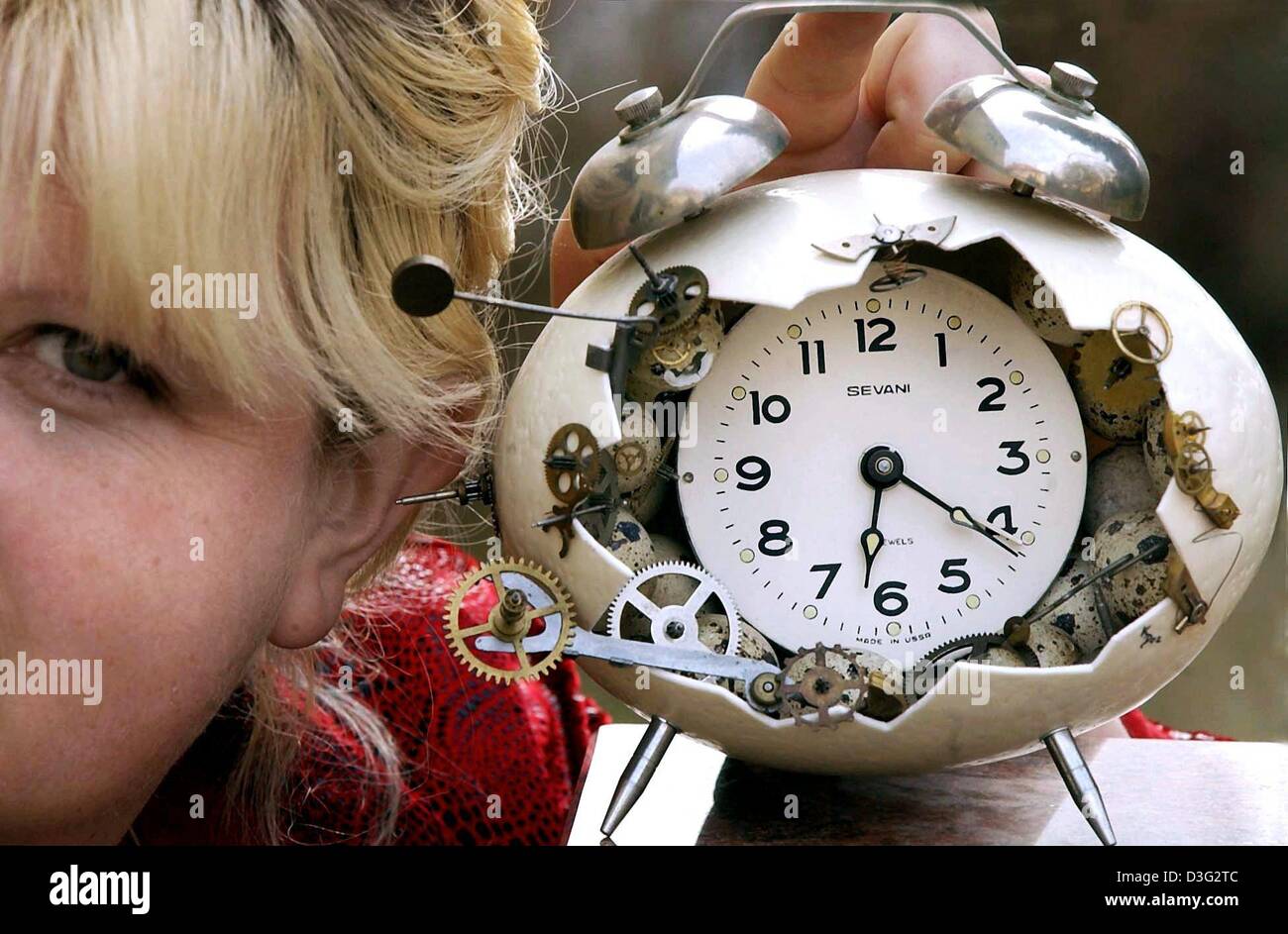 (Dpa) - Egg designer Kerstin Dischereit presenta un orologio di allarme fissato all' interno di un uovo di pasqua, Lipsia, Germania, 6 marzo 2003. Molte piccole uova di quaglia e un orologio sono fissate all'interno di un uovo di struzzo di 17cm. Circa 8.000 uova sono state decorate o dipinte da Kerstin Dischereit durante gli ultimi vent'anni. Essi sono visualizzati su uovo di pasqua esposizioni che aprono le loro porte al pubblico i Foto Stock