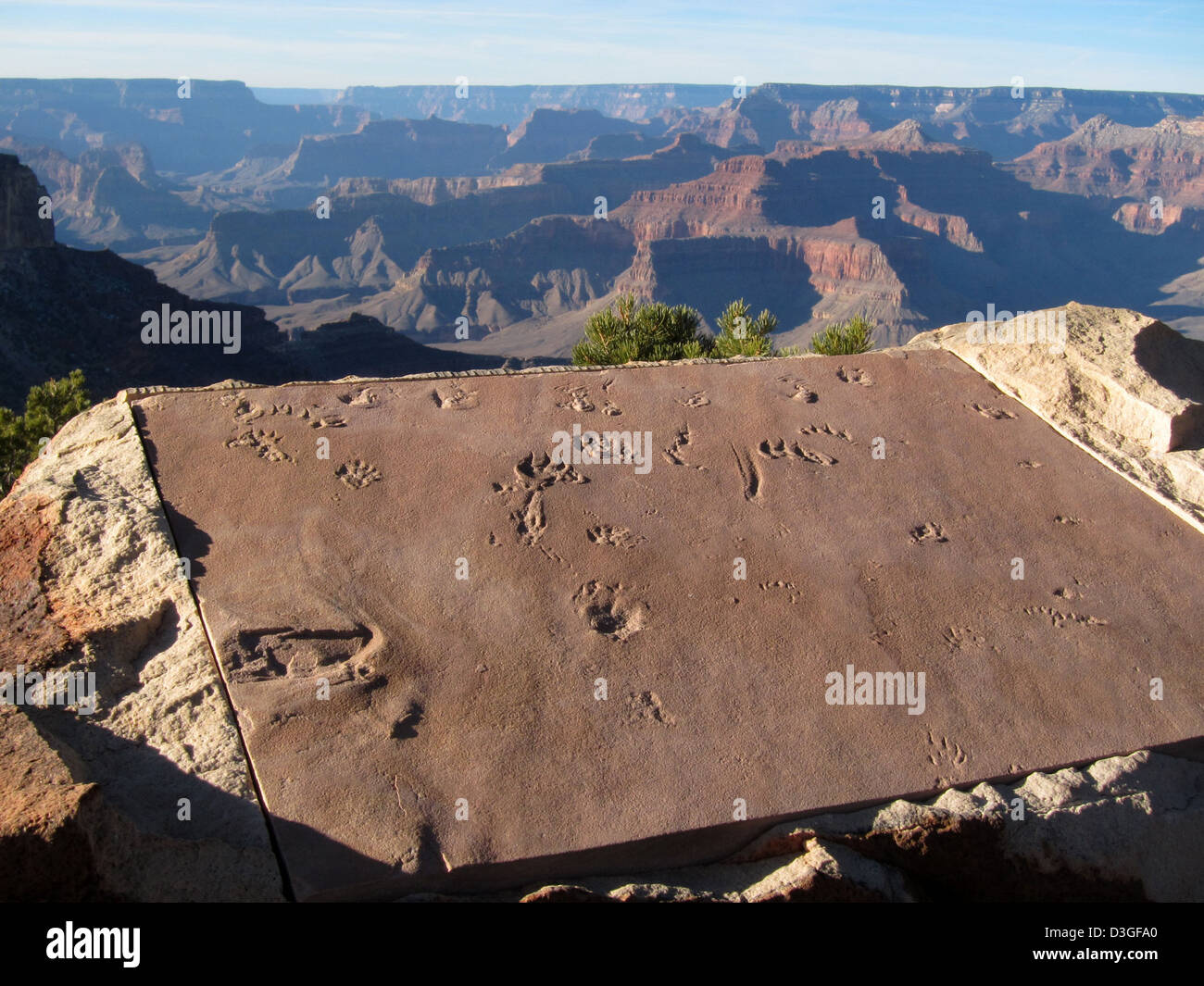 Grand Canyon Trail di tempo - Coconino arenaria 2111 Foto Stock