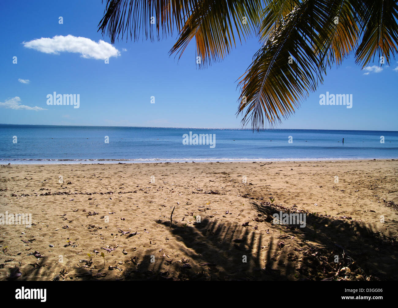Spiaggia di Puerto Rico Foto Stock