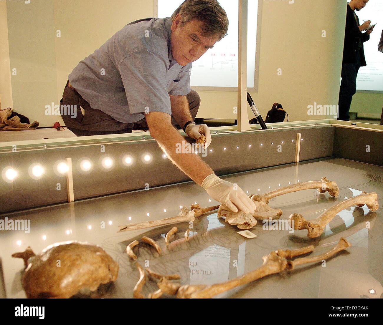 (Dpa) - antropologo statunitense Fred Smith si inserisce un frammento osseo del bacino di uno scheletro di Neanderthal a Bonn, Germania, 15 luglio 2004. L'osso è stato trovato in 2000 ed è parte di un puzzle scientifico per ricostruire lo scheletro completo di un uomo di Neanderthal. Un team di tedesco e noi gli scienziati sono ora state in grado di montare quattro più parti per l'antico scheletro che è stata trovata vicino a Duesseldorf Foto Stock