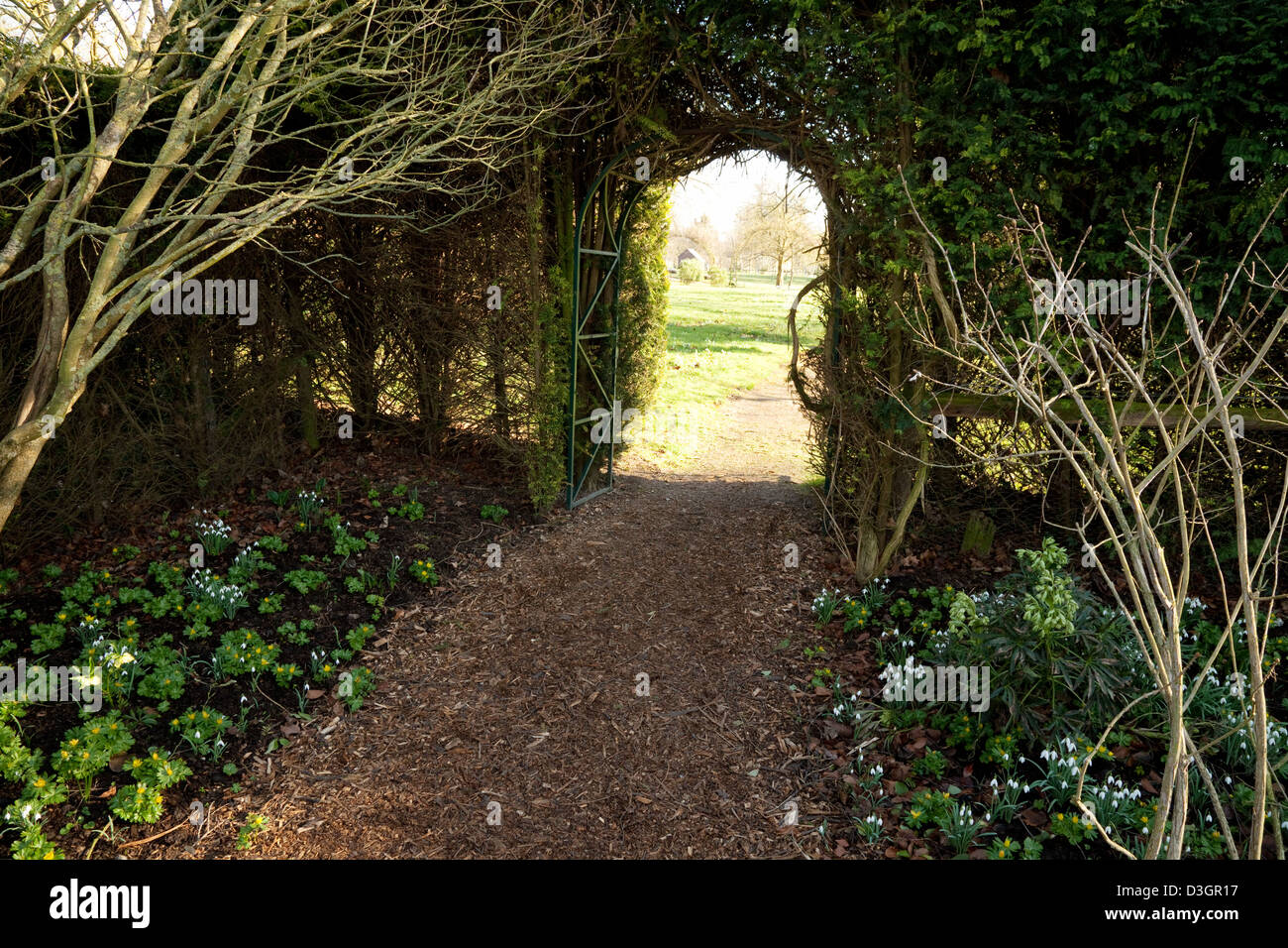 Un cancello aperto in una siepe che conduce a un giardino, Chippenham Park House e giardini Cambridgeshire Regno Unito Foto Stock
