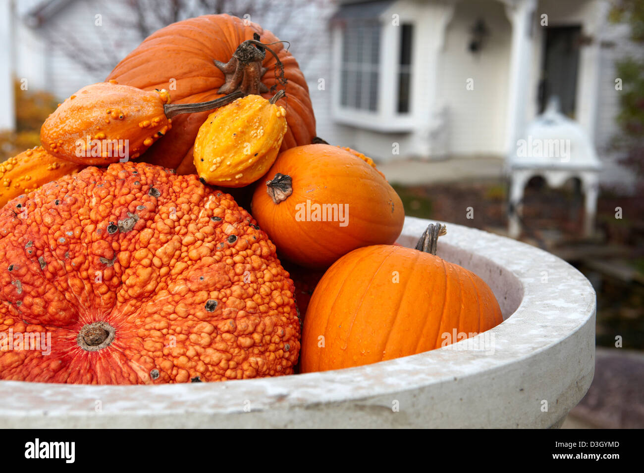 Display di autunno di zucca zucca e zucche Foto Stock