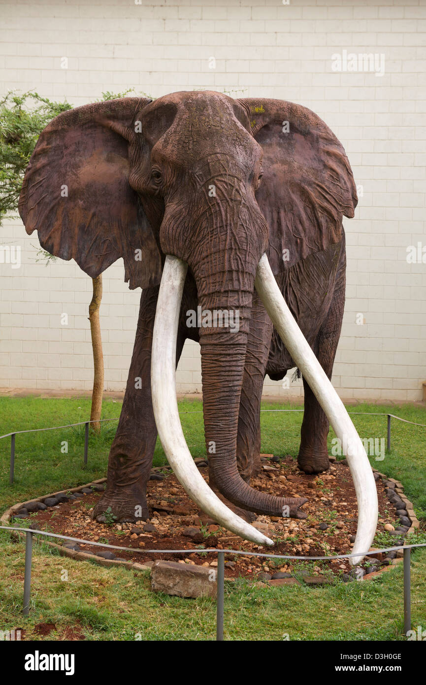 Statua di elefante, Nairobi National Museum, Nairobi, Kenia Foto Stock