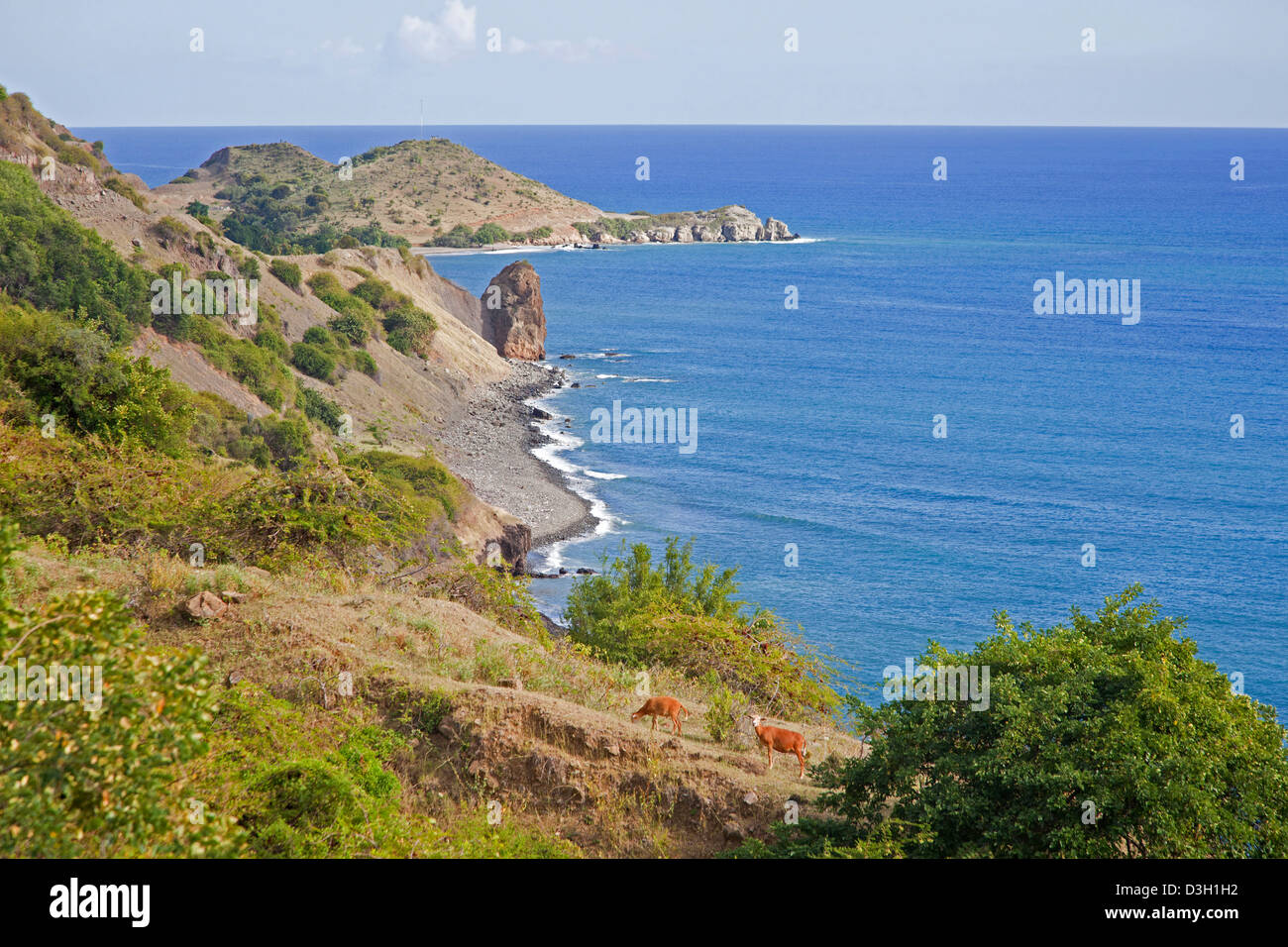 La catena montuosa della Sierra Maestra di raggiungere il Mar dei Caraibi, Cuba, Caraibi Foto Stock