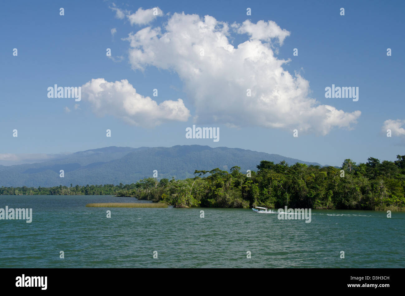 Guatemala, Rio Dulce Parco Nazionale. Rio dulce (dolce fiume) corre dal Mare dei Caraibi della navigazione sul lago Izabal. Foto Stock