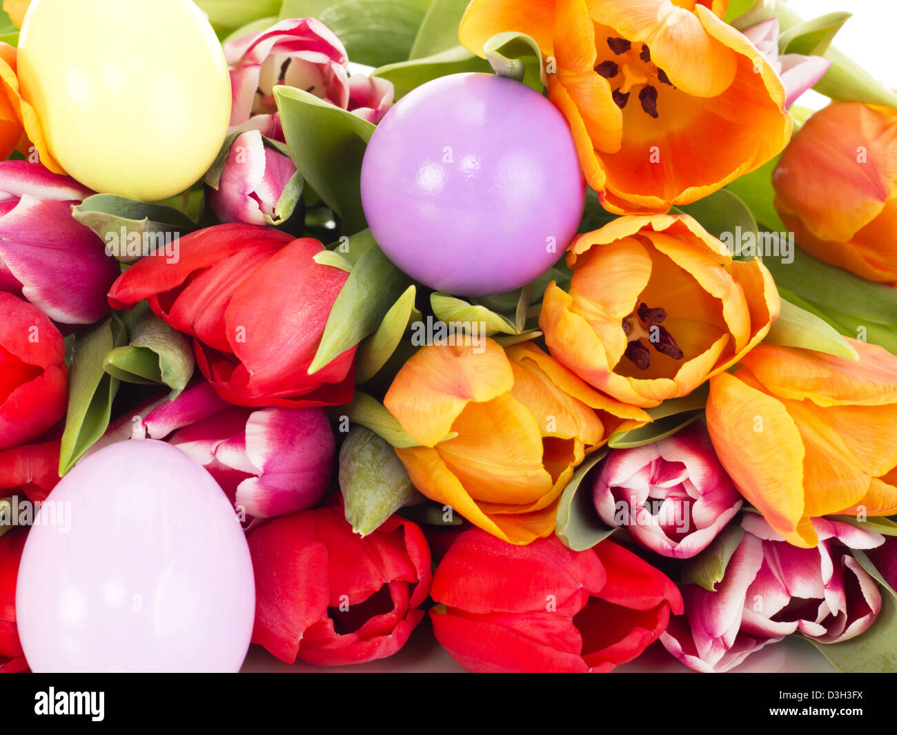 Mazzo di tulipani con uova di pasqua Foto Stock