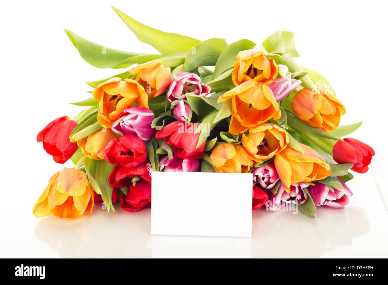 Mazzo di tulipani con la carta Foto Stock