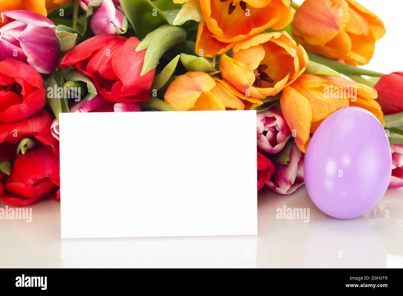 Mazzo di tulipani con uovo di pasqua e la scheda Foto Stock