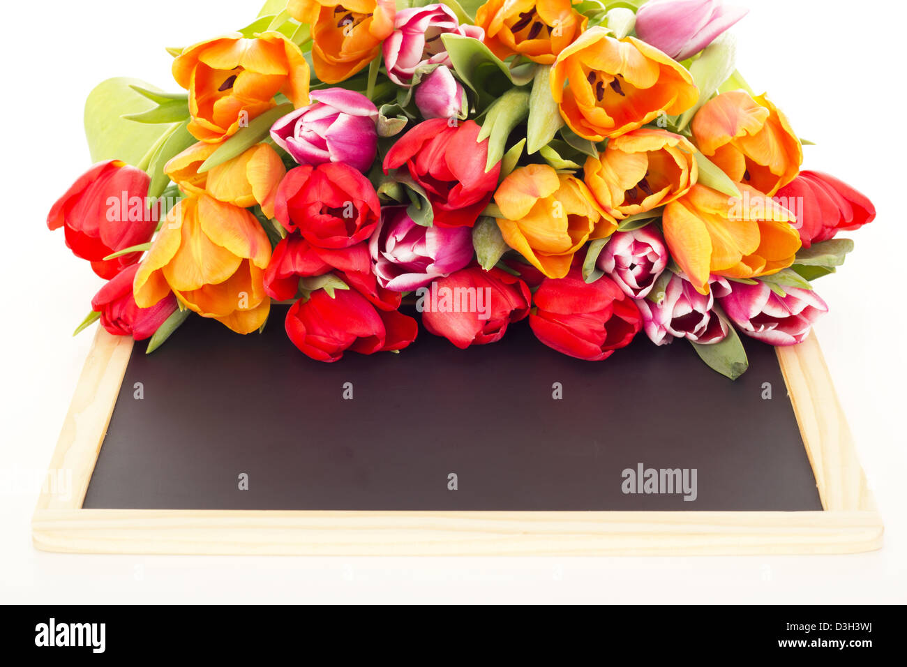 Mazzo di tulipani con Blackboard Foto Stock