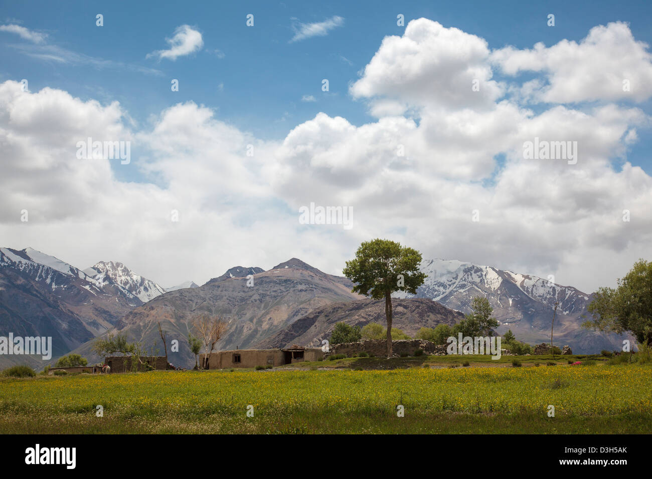 Sarhad-e-broghil paesaggio con fiori di colza nel Wakhan Corridor, Badakshan, Afghanistan Foto Stock