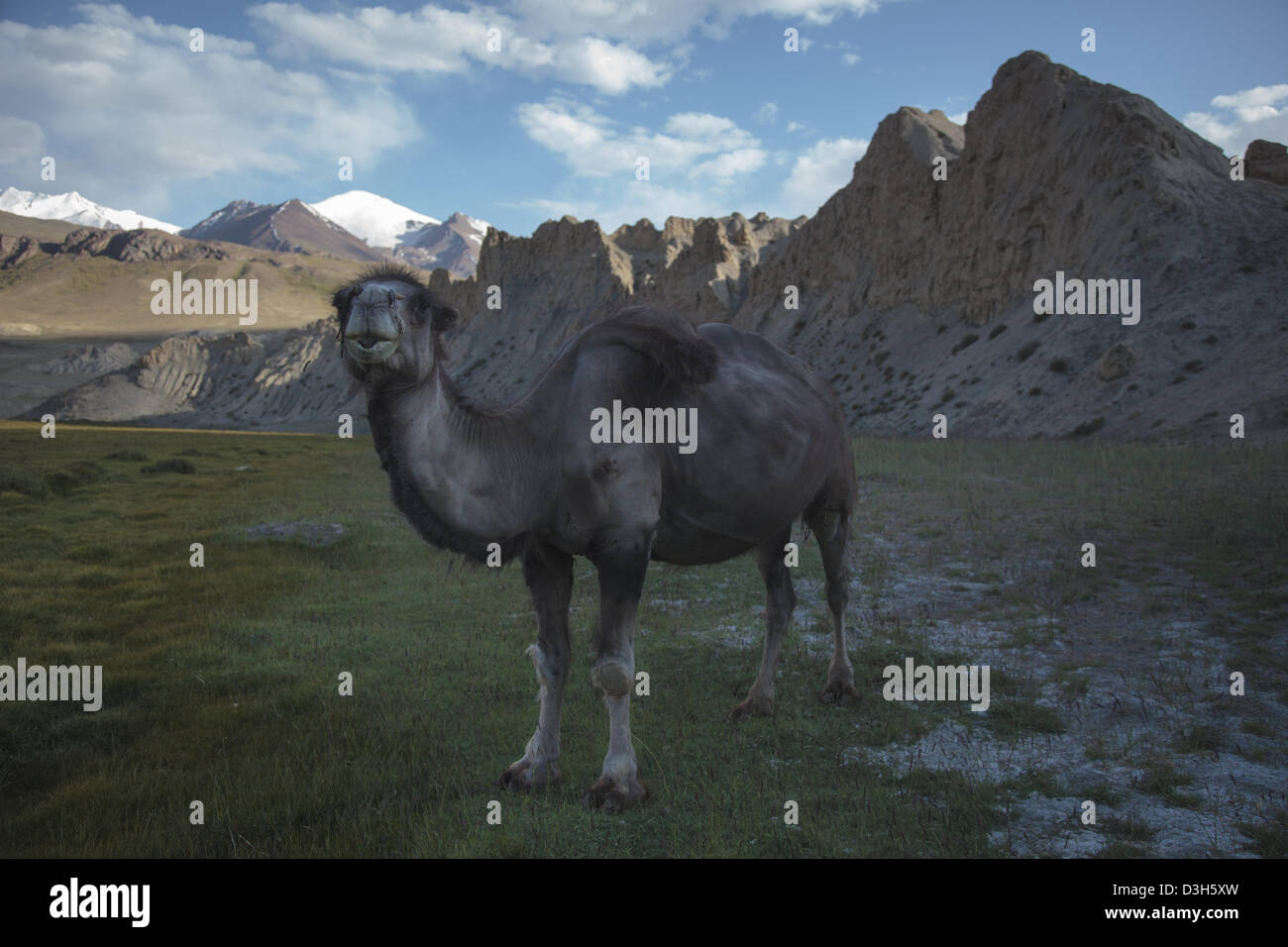 Nel Wakhan Corridor, Badakshan, Afghanistan Foto Stock