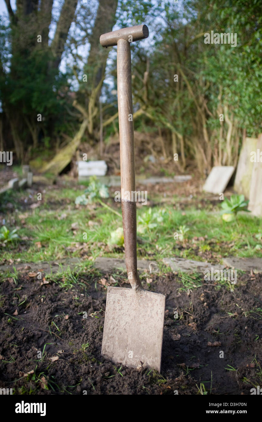 Lo scavo e la preparazione di terra pronta per la semina di verdure, frutta e fiori. Foto Stock