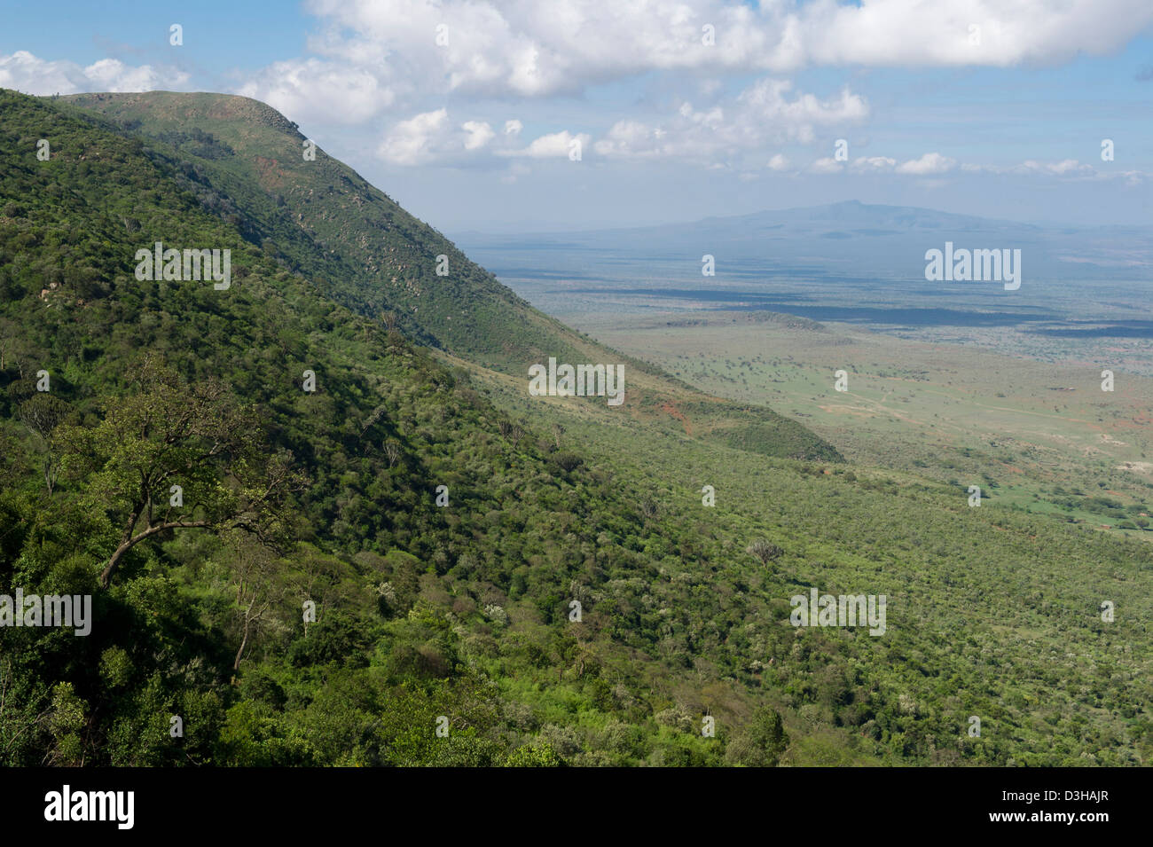 Vista della Rift Valley scarpata sulla scarpata Road, Kenya Foto Stock