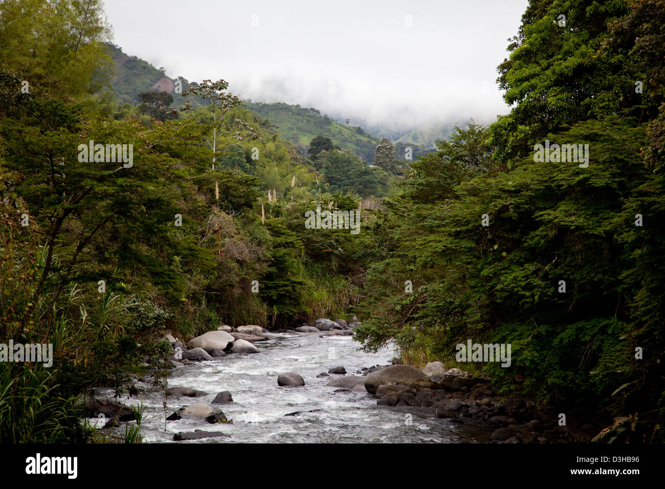 Fiume nella foresta amazzonica in Ecuador Foto Stock