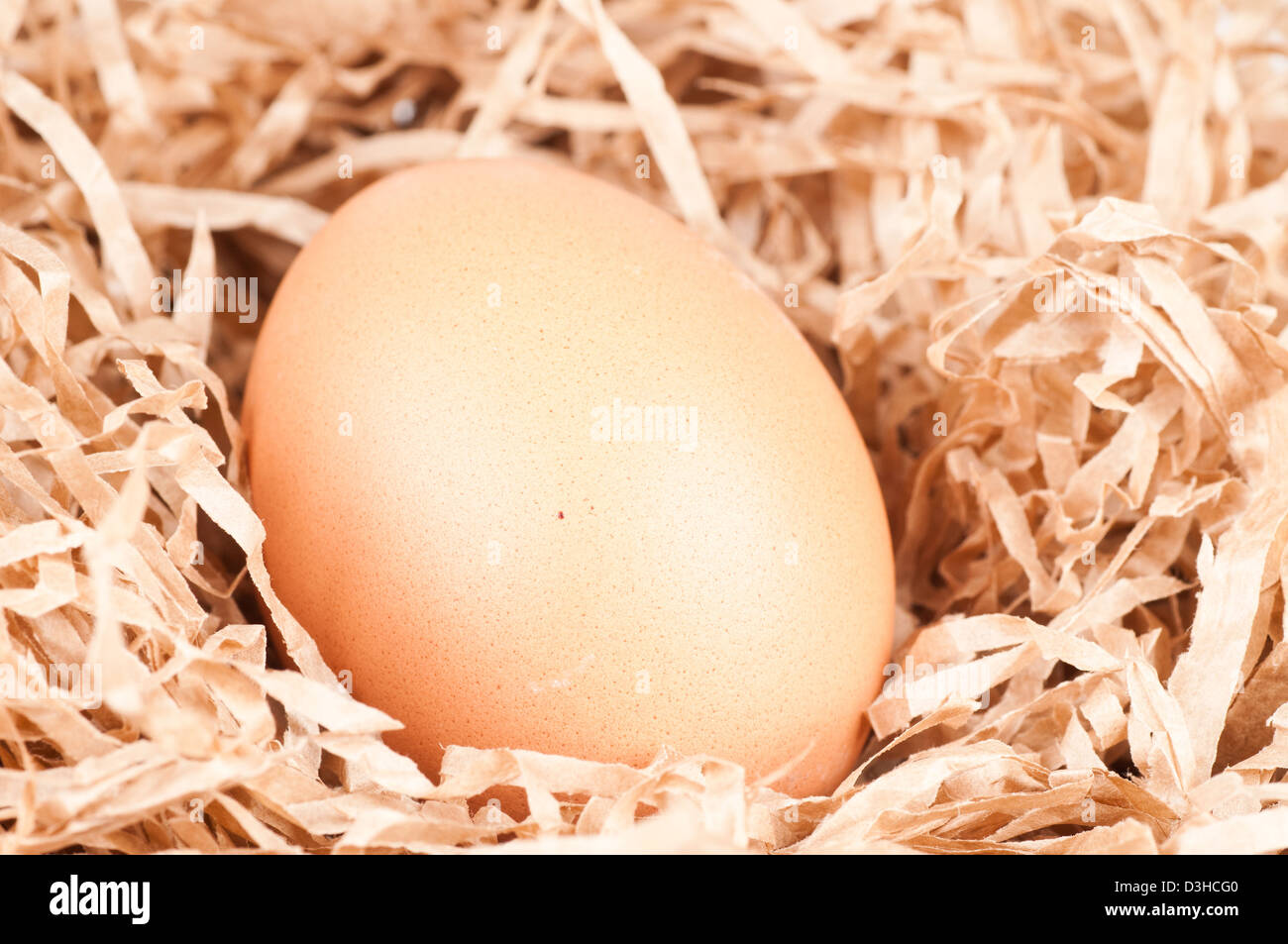 Un uovo crudo in un nido Foto Stock