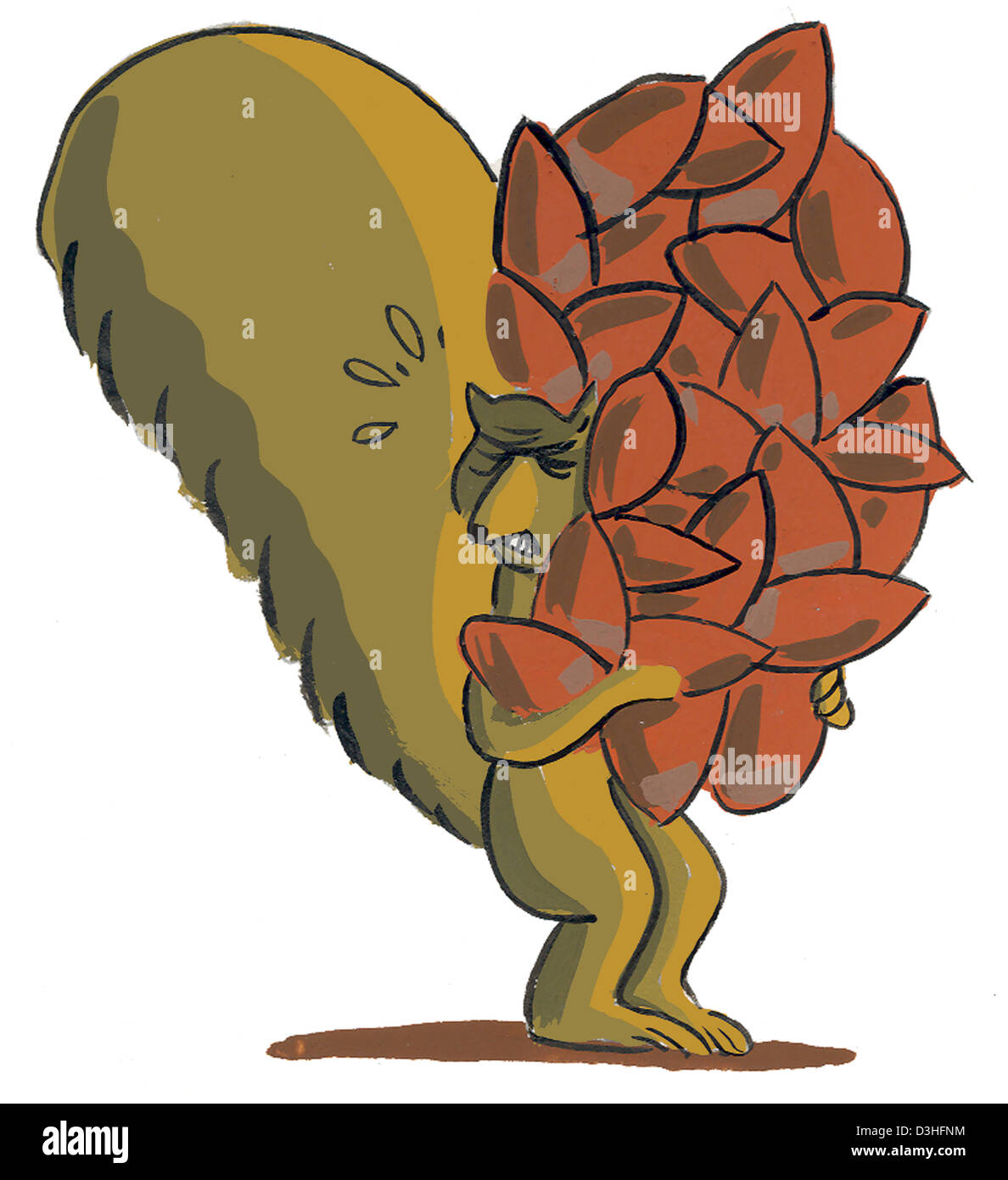 SCOIATTOLO Foto Stock