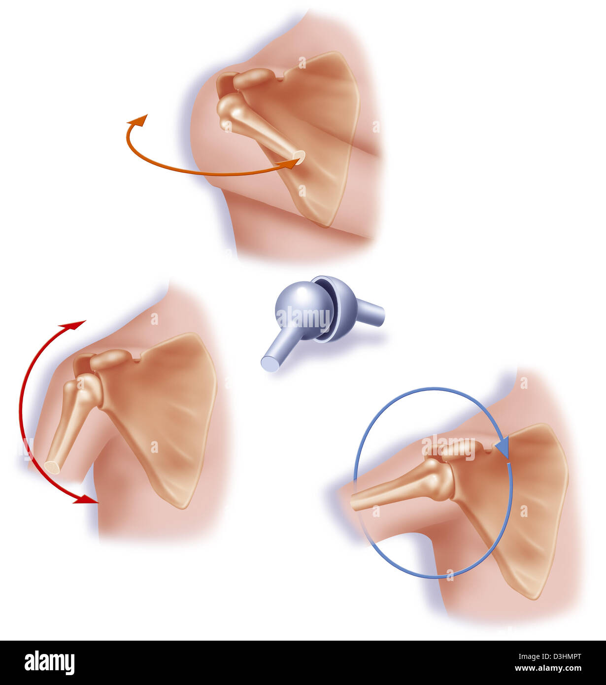 DRAW CONGIUNTA Foto Stock