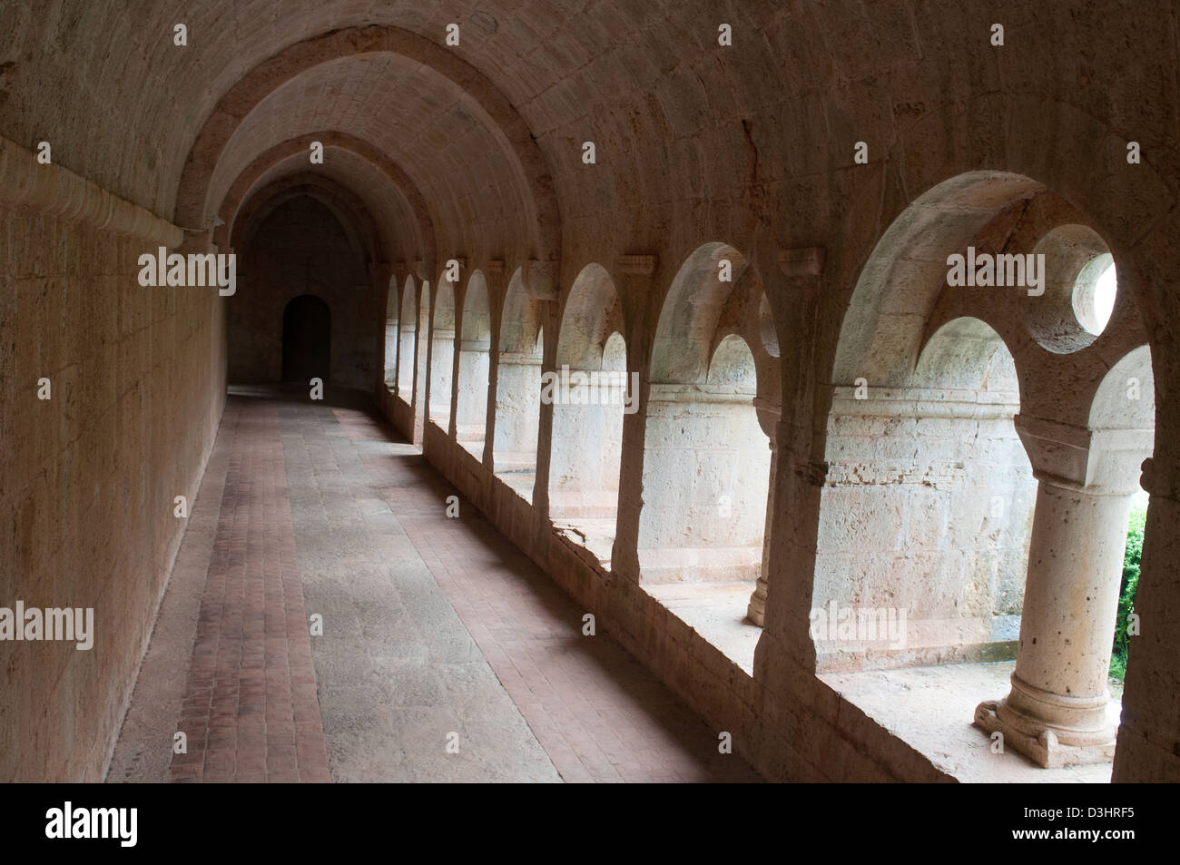 Chiostro Abbaye du Thoronet, Var, Provenza, Francia Foto Stock