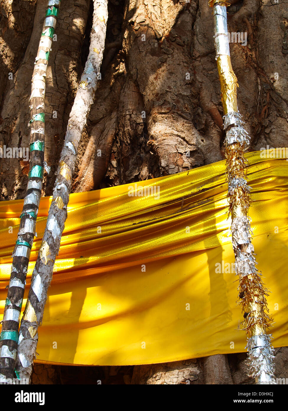 Pali di legno contro la struttura Bothi, uno dei modi di vita tradizionali delle popolazioni del nord della Thailandia. Foto Stock