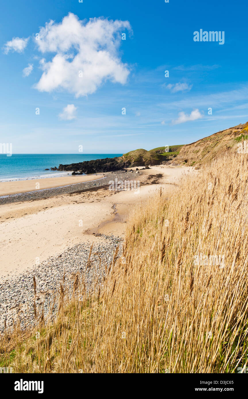 Porth Oer spiaggia dove la sabbia fischietti a causa della sua forma unica dei grani Llyn Lleyn Peninsula Gwynedd il Nord del Galles GB UK Foto Stock