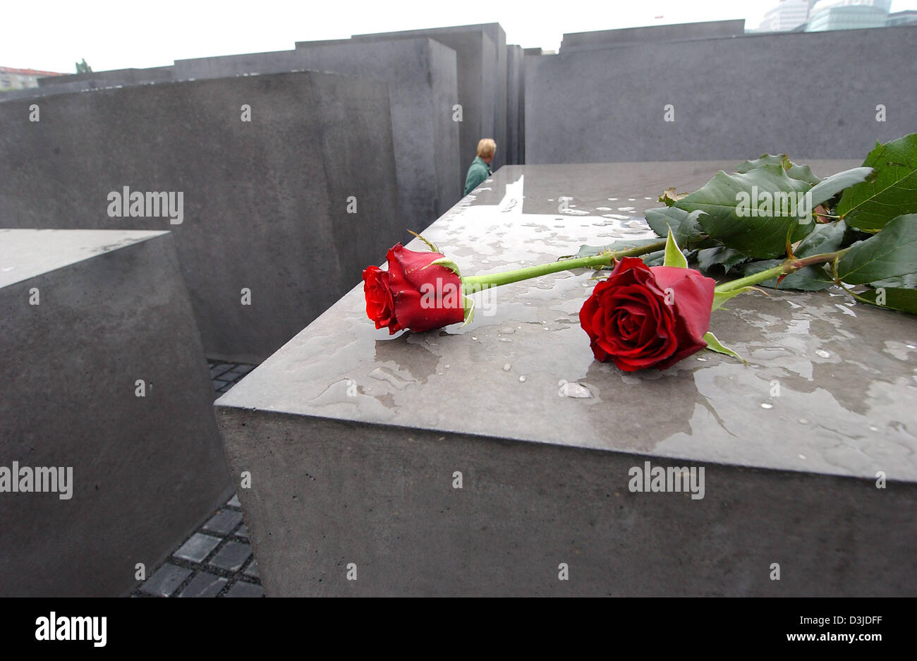 (Dpa) - due rose rosse giacciono su un blocco di cemento armato presso il Memoriale dell'Olocausto sito in Berlino, giovedì, 12 maggio 2005. Dopo anni di preparativi il memoriale per gli ebrei assassinati d'Europa, è stata ora aperta al pubblico. Foto Stock