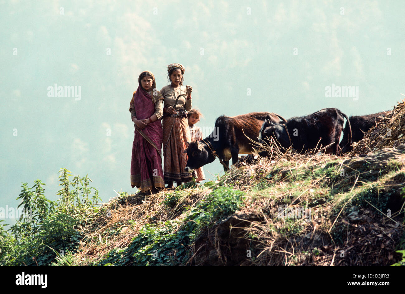 Due ragazze che coniano il bestiame della loro famiglia sulle pendici delle colline himalayane. Tehri Garwhal, Uttarakhand. India. Foto Stock