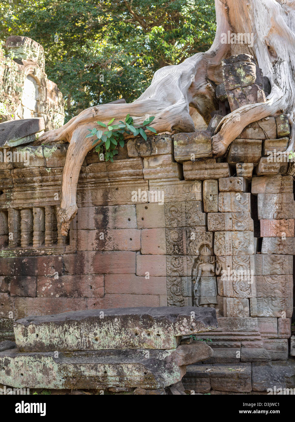 Preah Khan i resti di un tempio. Angkor. Cambogia Foto Stock