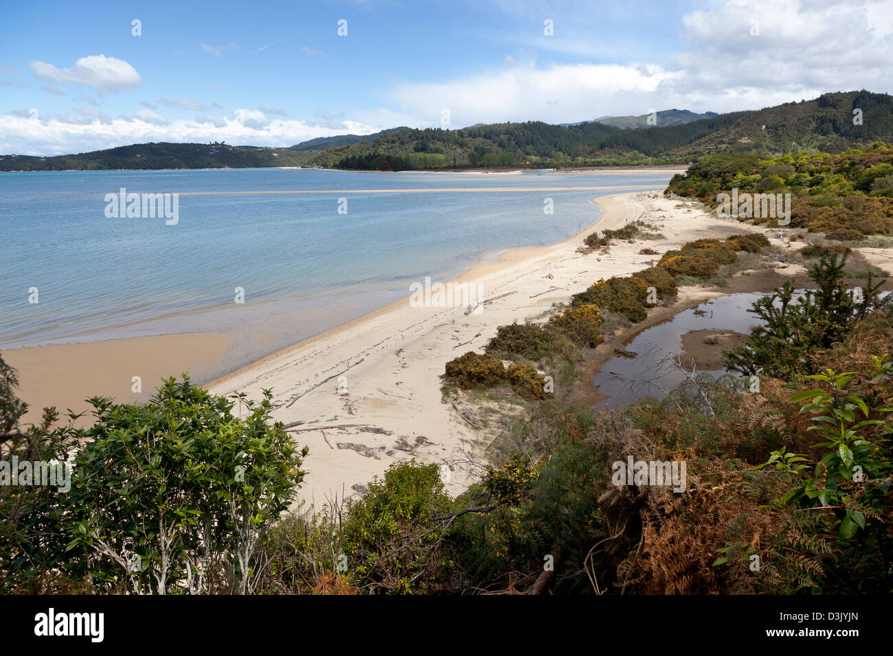 Spiaggia nel Parco Nazionale Abel Tasman, Nuova Zelanda Foto Stock