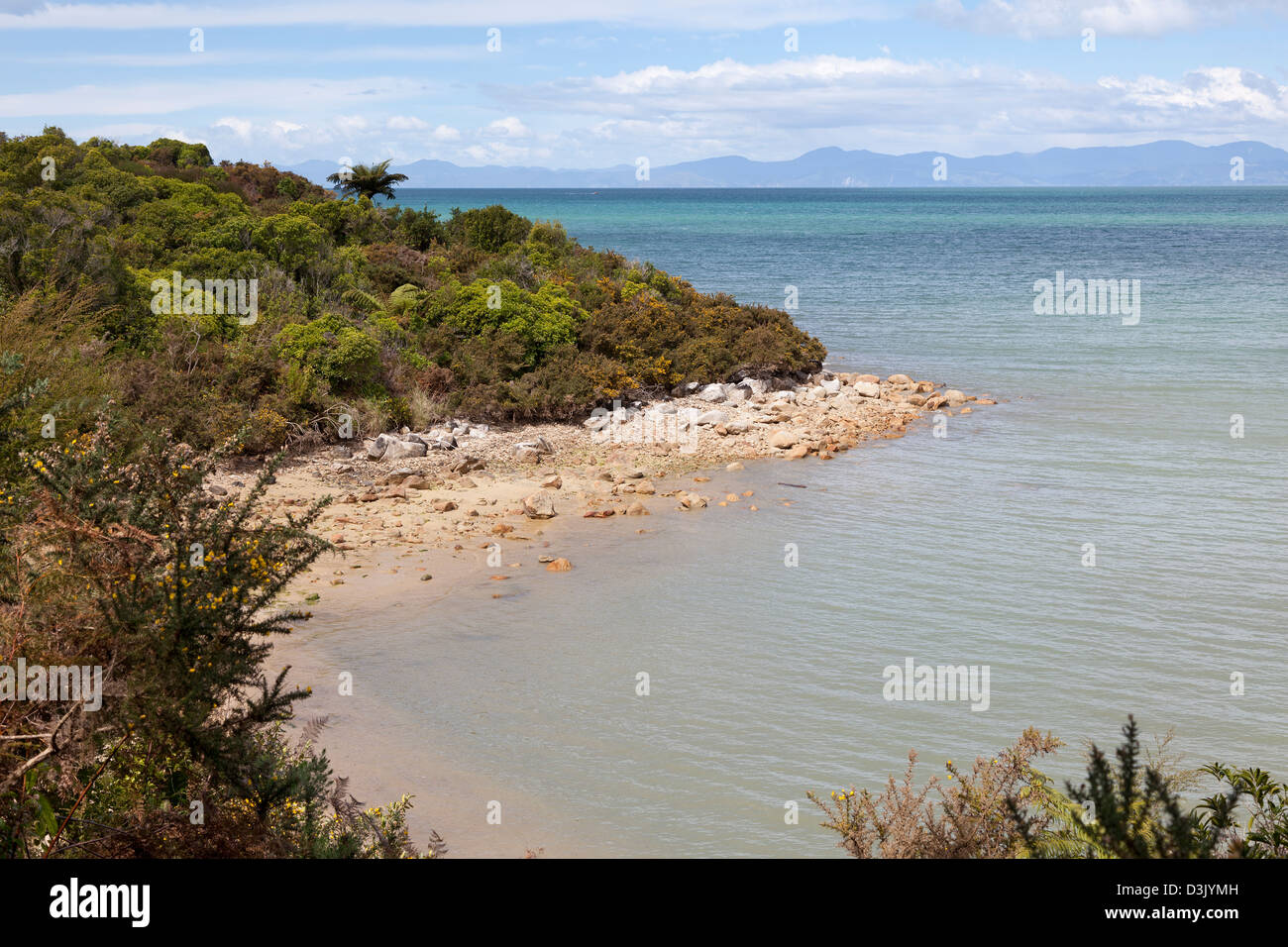 Spiaggia nel Parco Nazionale Abel Tasman, Nuova Zelanda Foto Stock