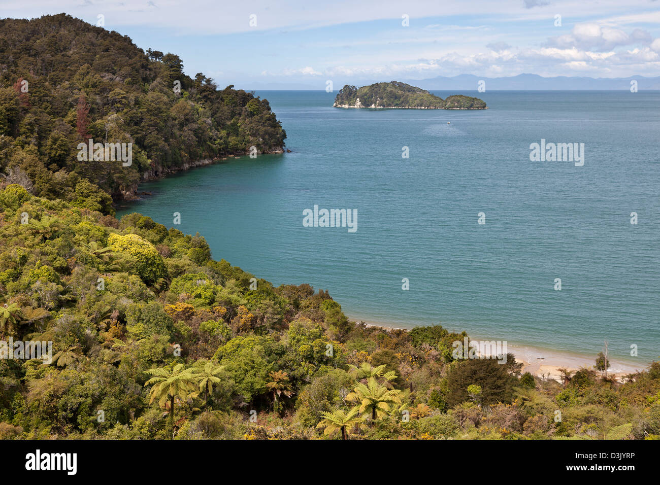 Spiaggia nel Parco Nazionale Abel Tasman, Nuova Zelanda Foto Stock