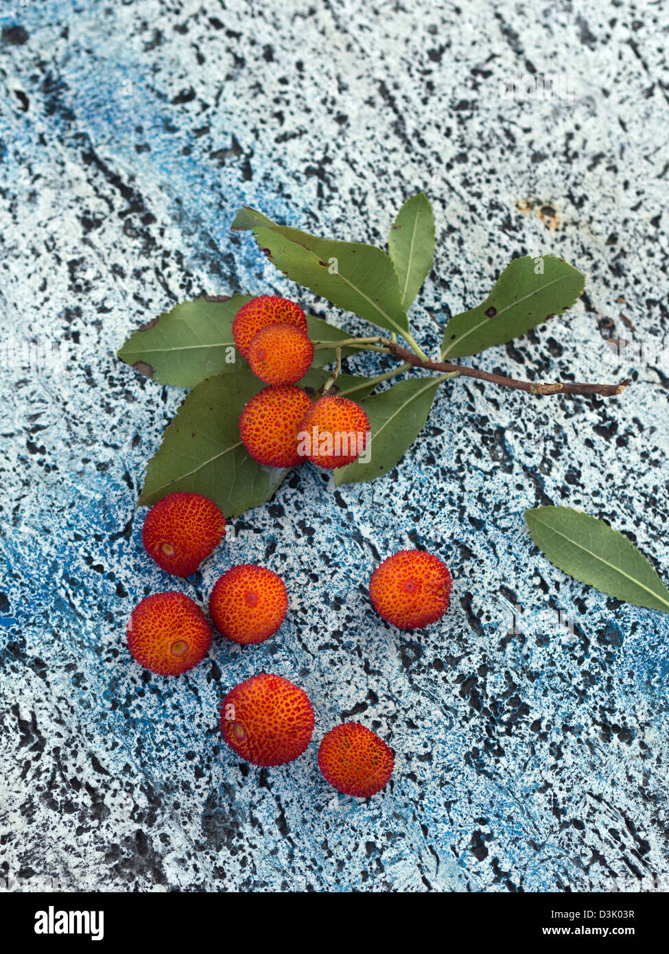 bacche di corbezzolo Foto Stock