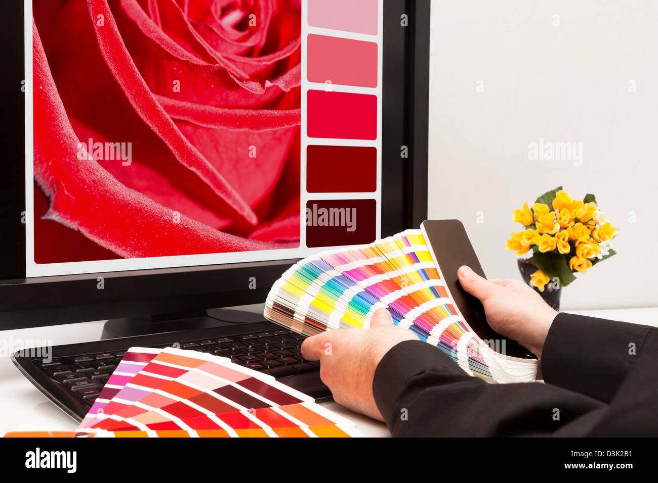 Graphic designer al lavoro. I campioni di colore. Red Rose Foto Stock
