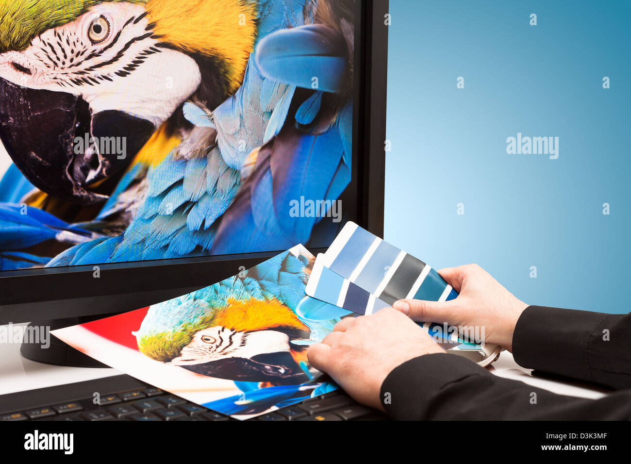 Graphic designer al lavoro. I campioni di colore. Blue Parrot macaw bird photo Foto Stock