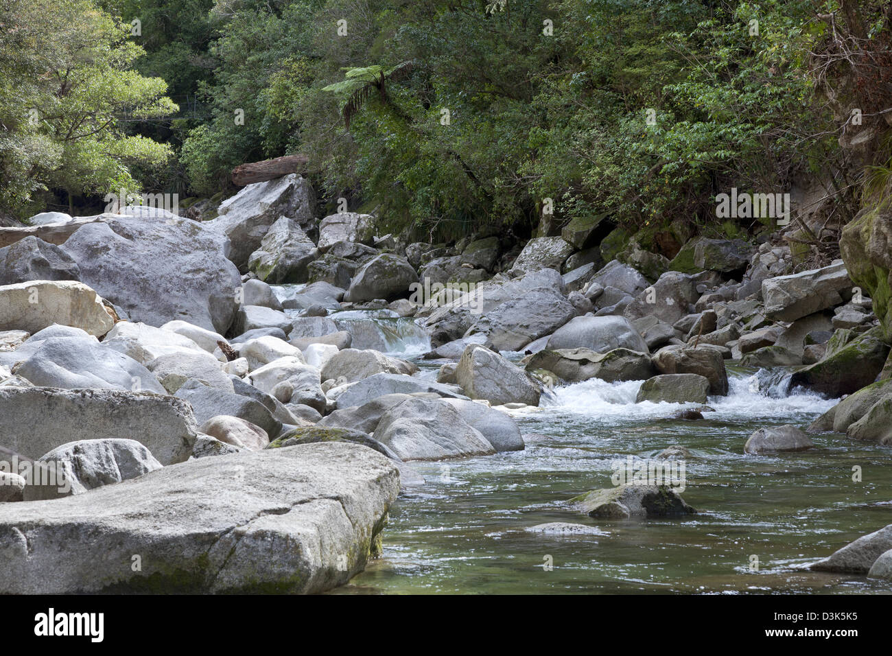 Richmond Forest Park, Nuova Zelanda Foto Stock