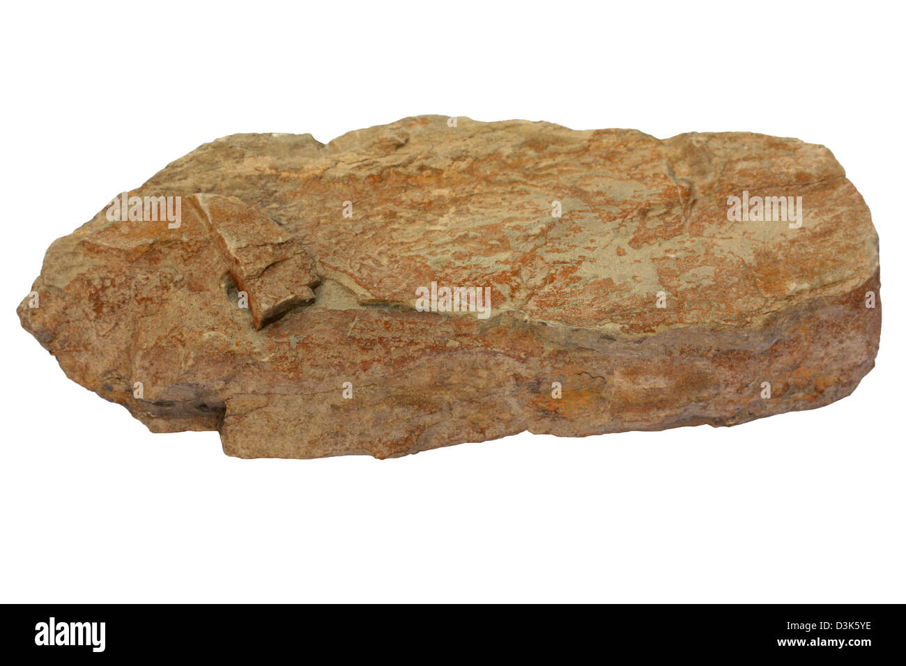 Siltstone (turbidite) Foto Stock
