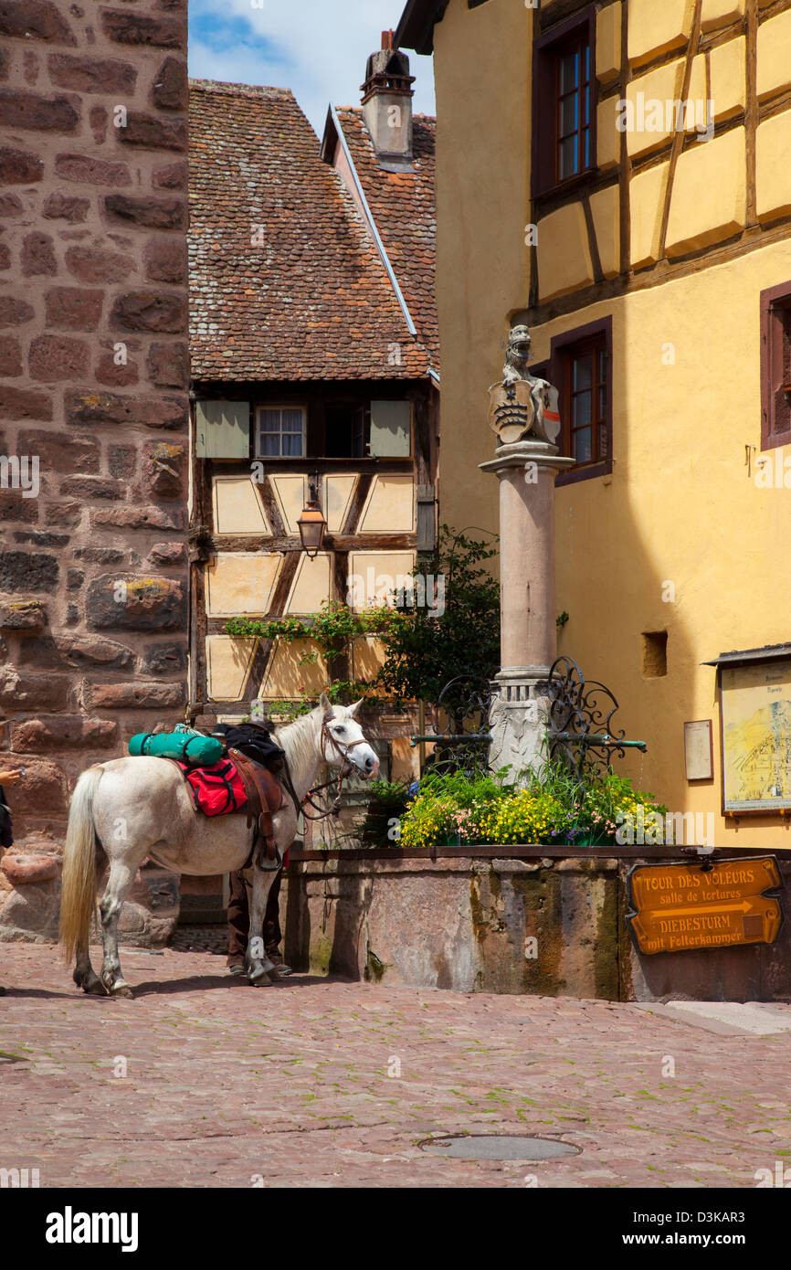 Saddle Horse presso la fontana pubblica in Riquewihr, lungo la Route des Vins (Strada del Vino), Alsace Francia Foto Stock