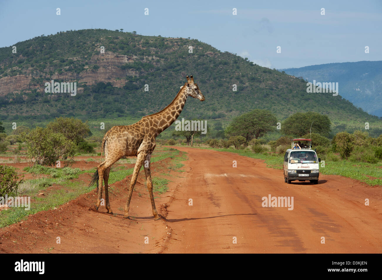 Veicolo turistico e Maasai giraffe (Giraffa camelopardalis tippelskirchi), parco nazionale orientale di Tsavo, Kenya Foto Stock