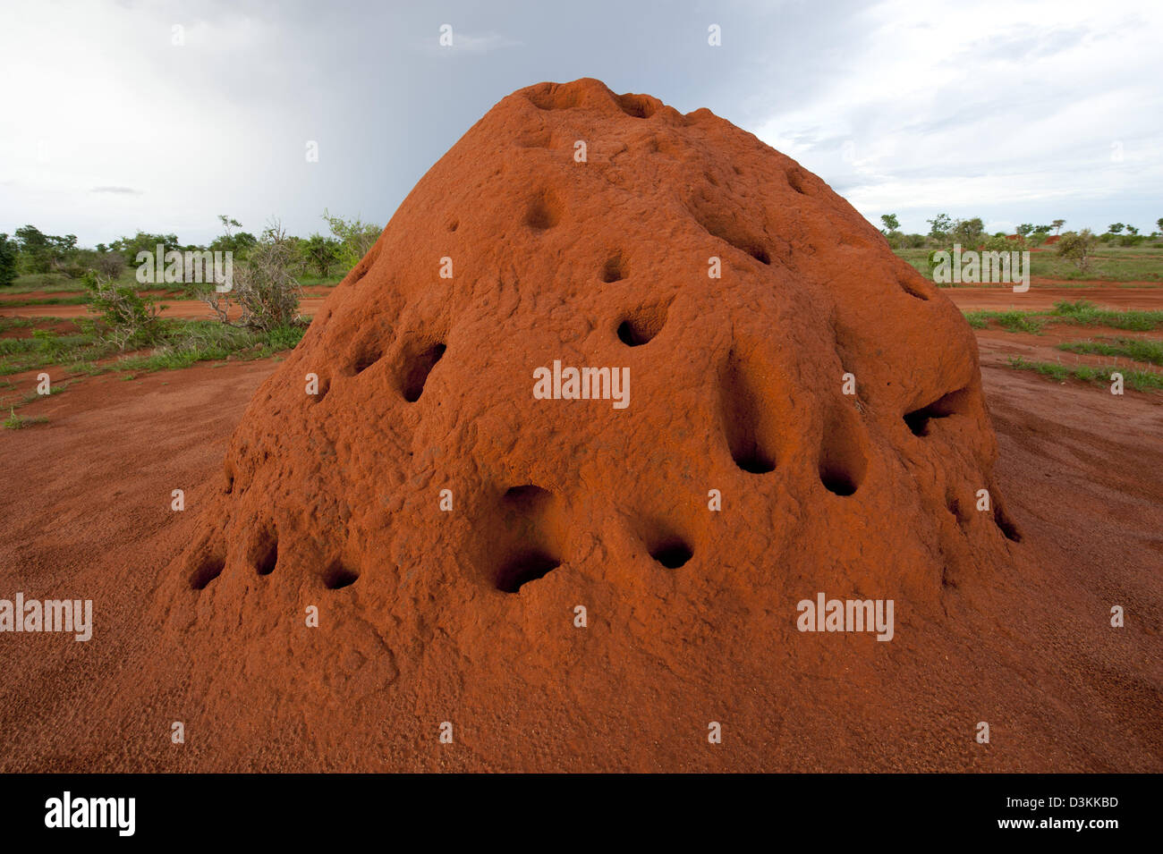 Termite mound, parco nazionale orientale di Tsavo, Kenya Foto Stock