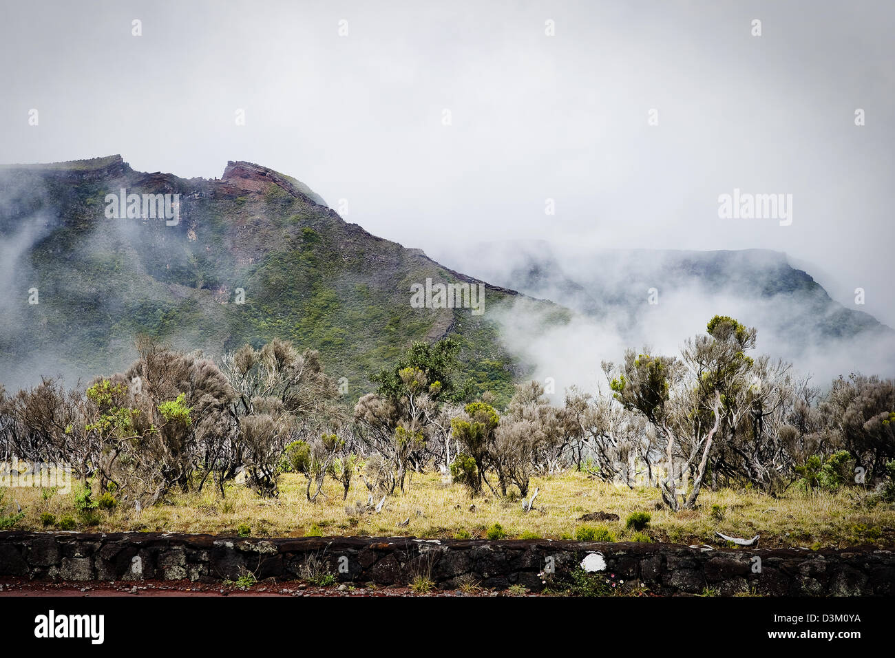 Vista del paesaggio vulcanico dal lato della strada si avvicina al Piton de le Fournaise, Isola di Reunion, dipartimento francese d' oltremare Foto Stock