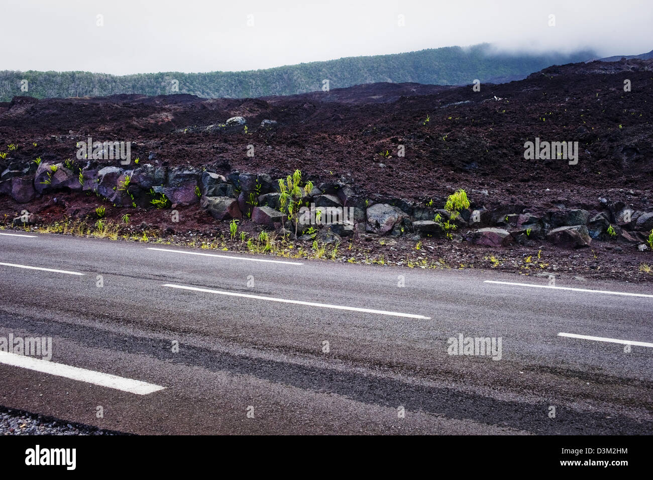 Strada vulcanica attraverso il flusso di lava dalla eruzione del Piton de la Fournaise, Isola di Reunion, dipartimento francese d' oltremare Foto Stock