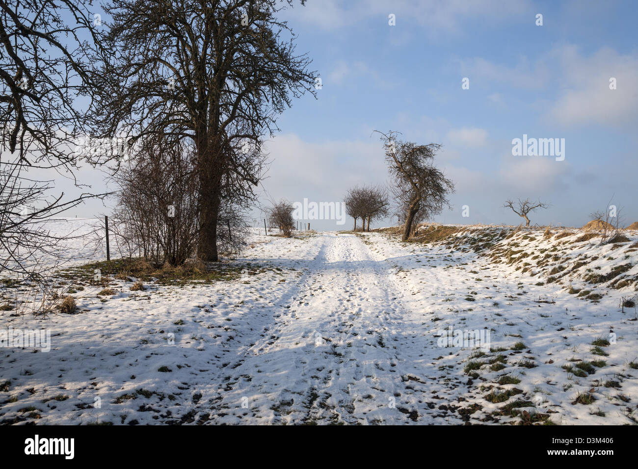 Inverno Deister im Winter in Germania - Deister Suentel valley Foto Stock