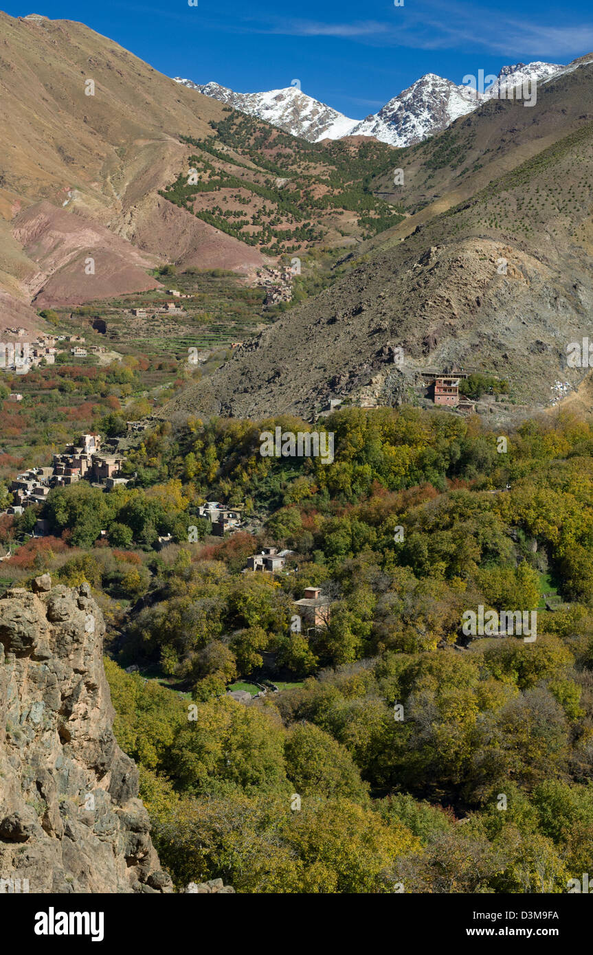 Valle boscosa che conduce al villaggio di Aremd, con montagne innevate dietro, vicino Imlil, Marocco Foto Stock