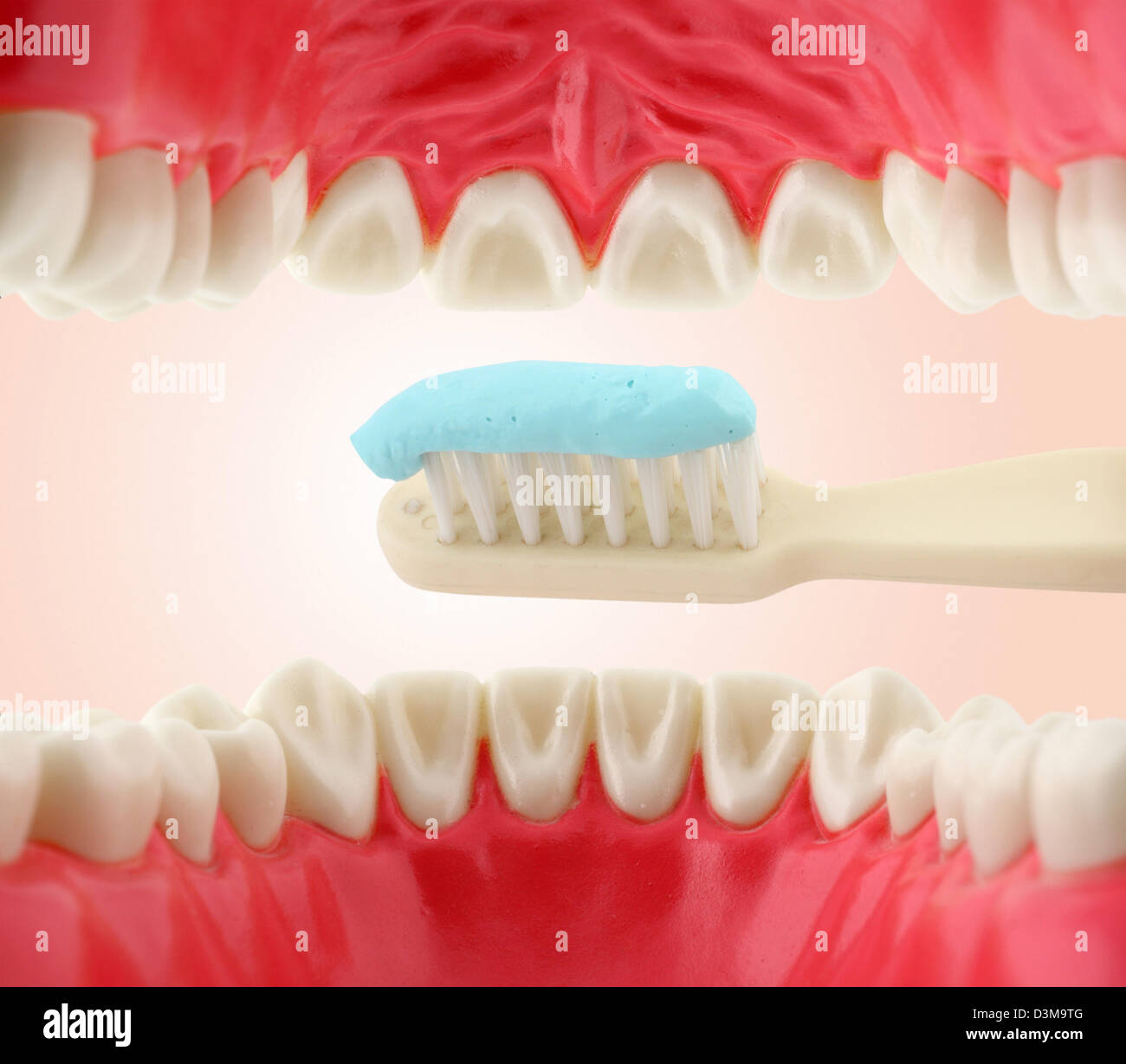 In bocca dall'interno e spazzolino, cure dentarie concept Foto Stock