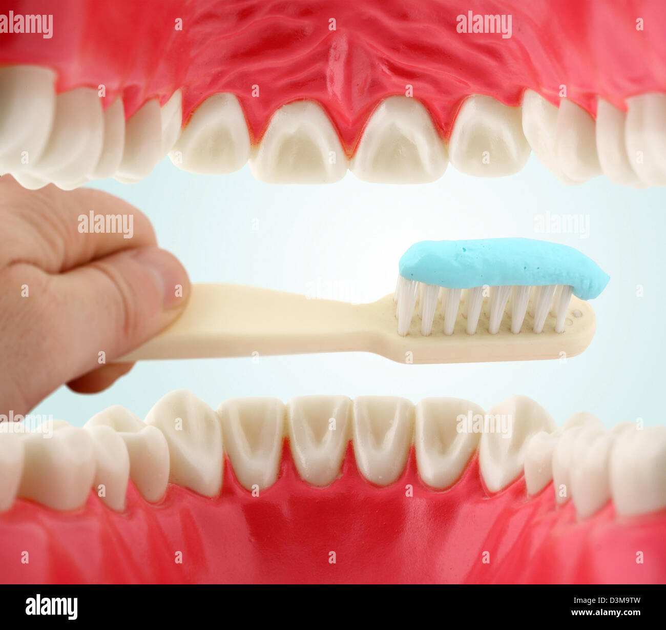 In bocca dall'interno e spazzolino, cure dentarie concept Foto Stock